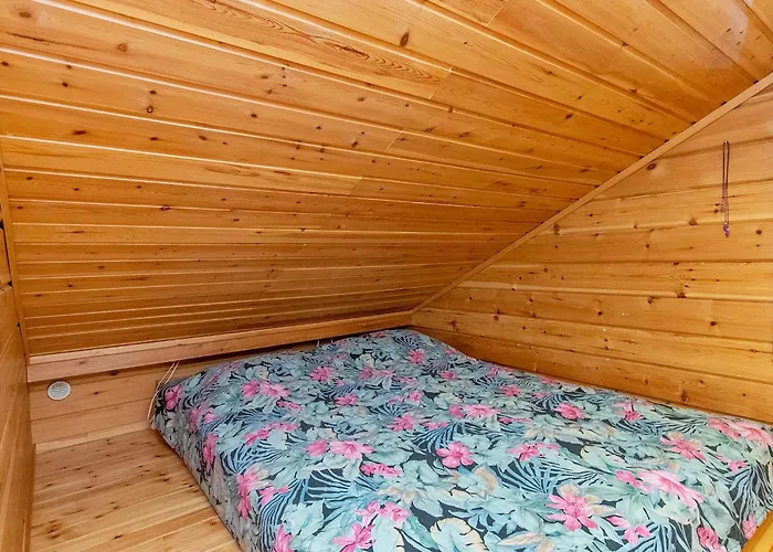 Hirvasaho A4 By Interhome *